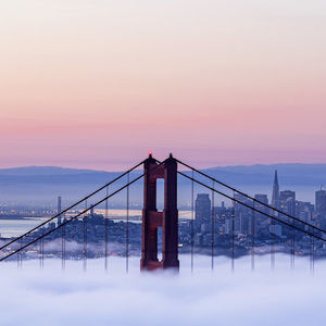 Meet your Posher, Mina